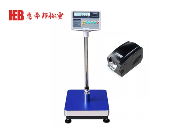 麻豆精品国产传媒T2000標（biāo）簽打印（yìn）秤